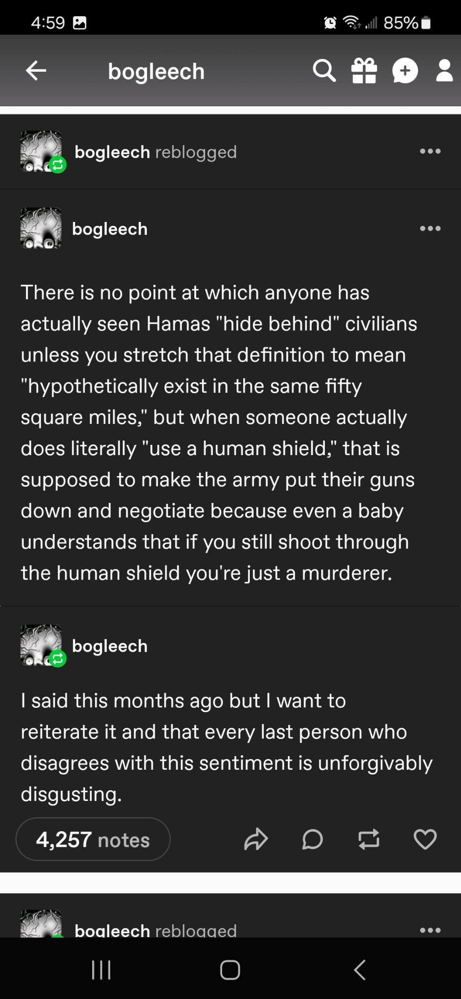 bog4.jpg