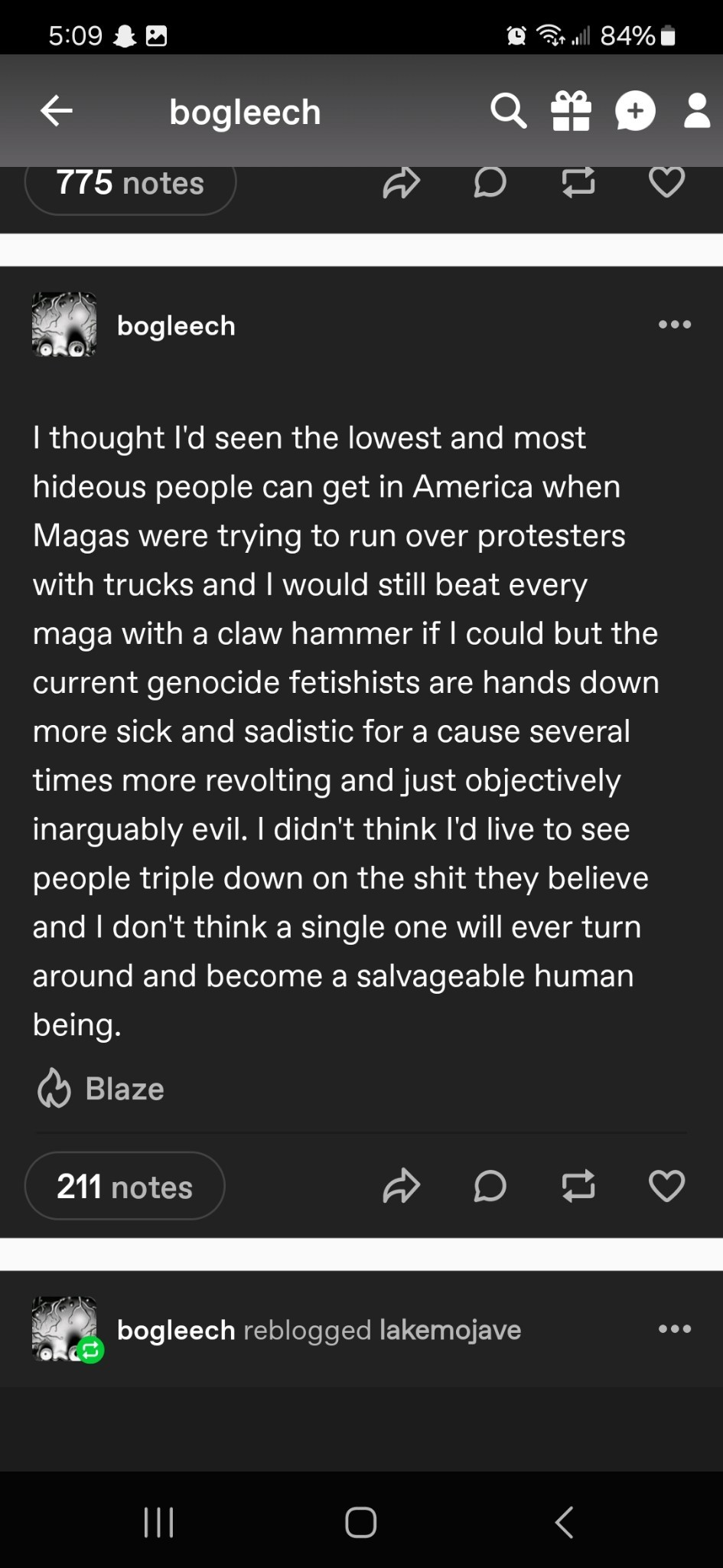 bog8.jpg