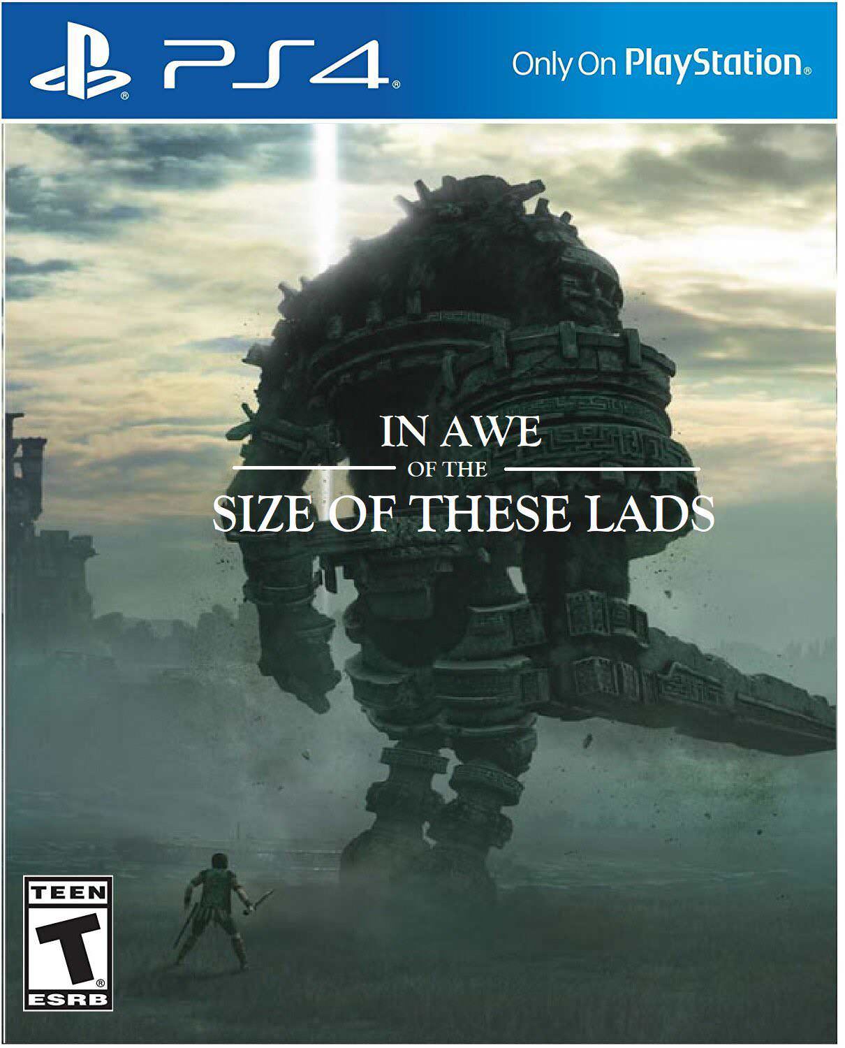 bois.jpg