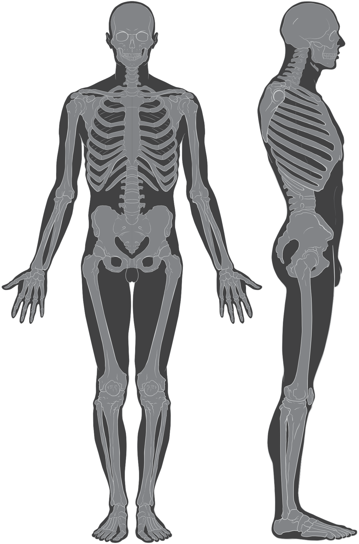 boneyboy.png