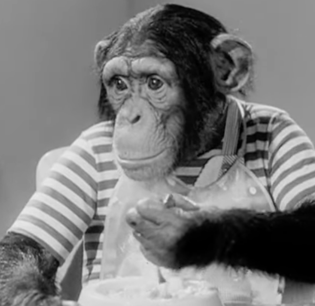 bonzo.png