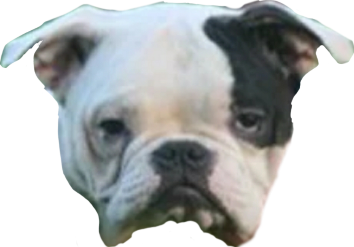 borf.png