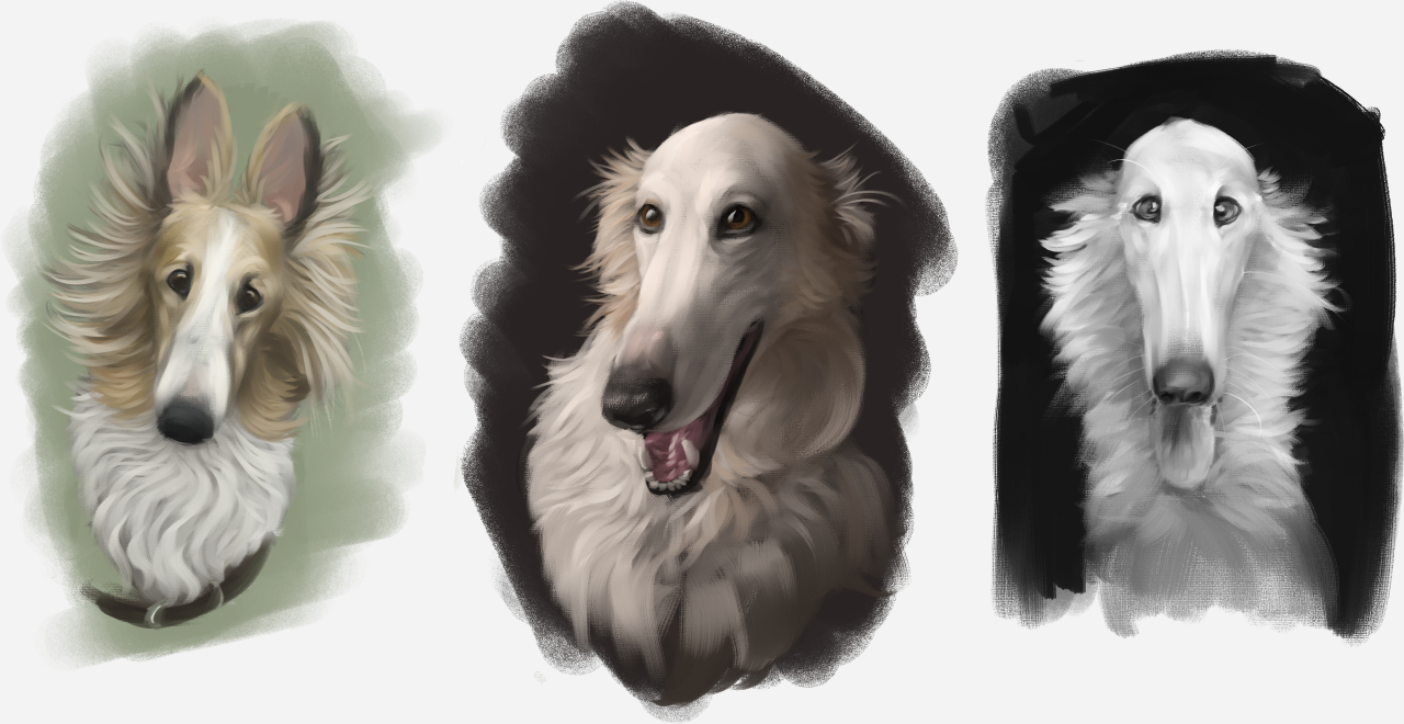borz study 2.jpg