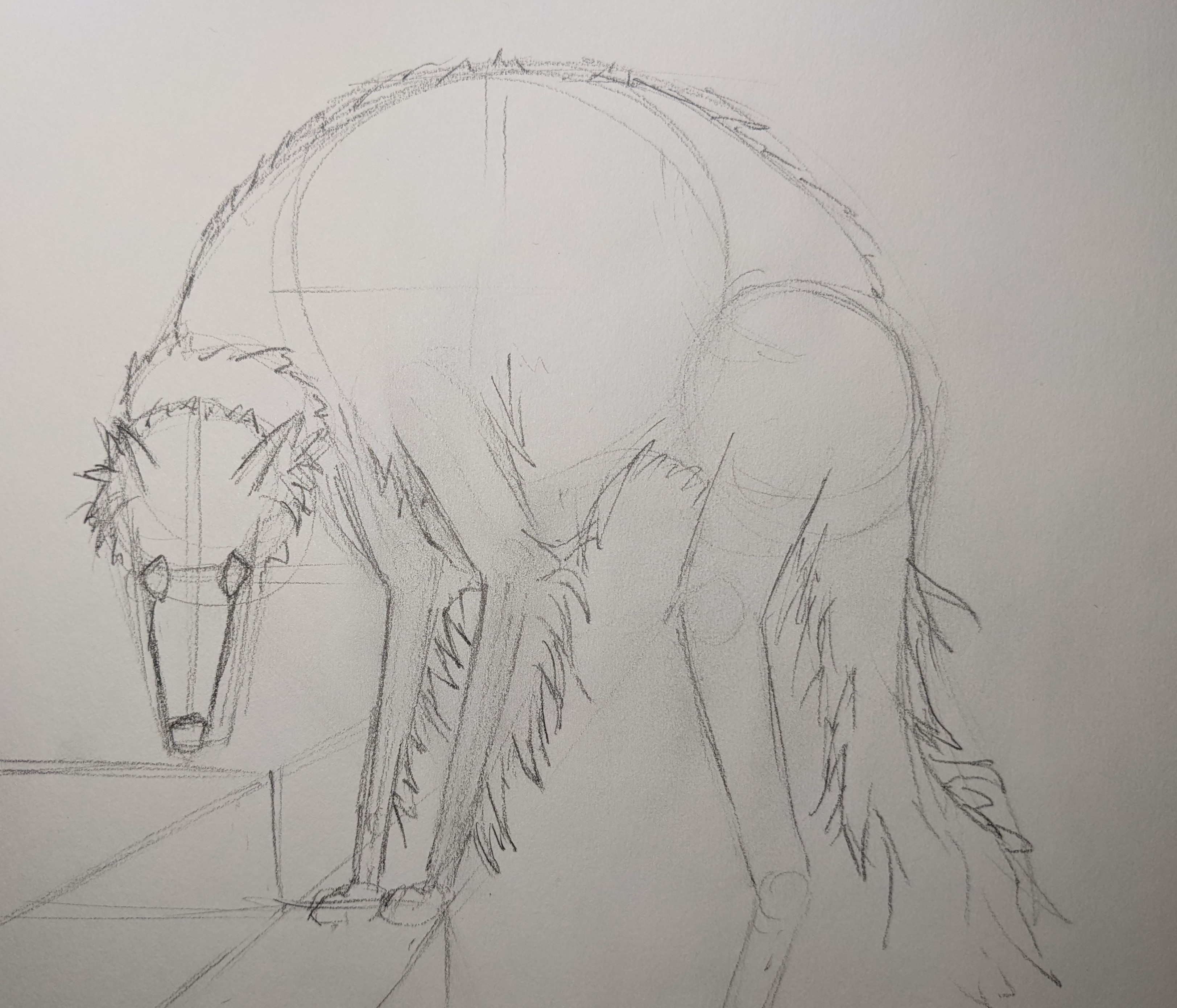 borzoi.jpg