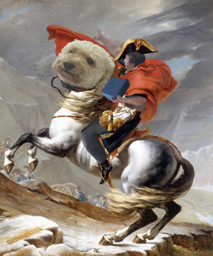 bosmanaparte.webp