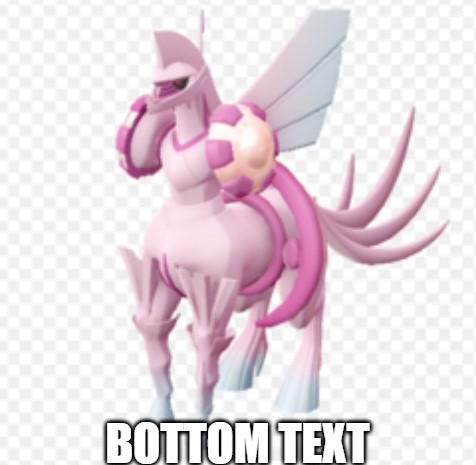 bottom text.jpg