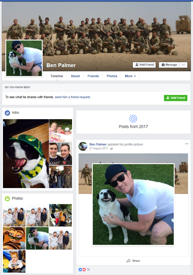 BP Profile.png