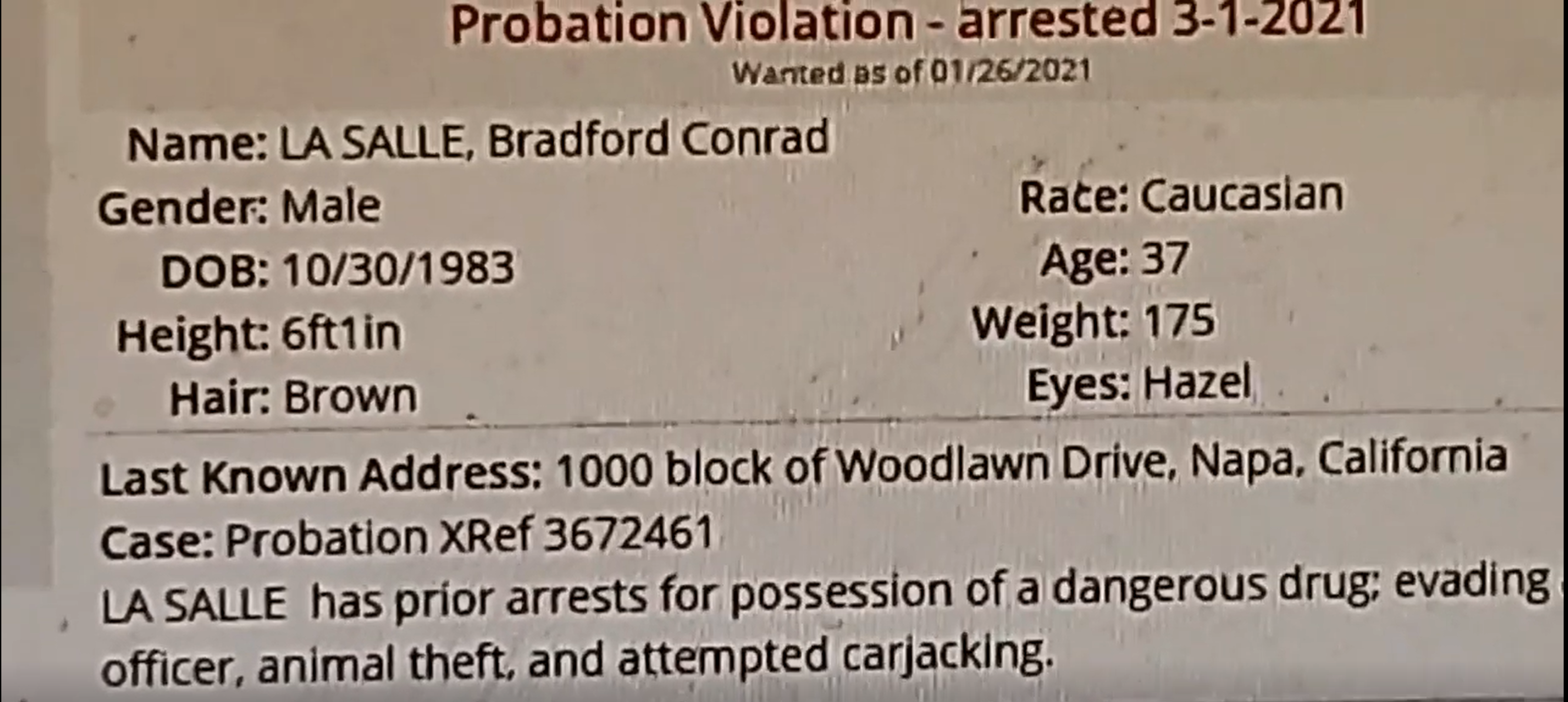 brad.png
