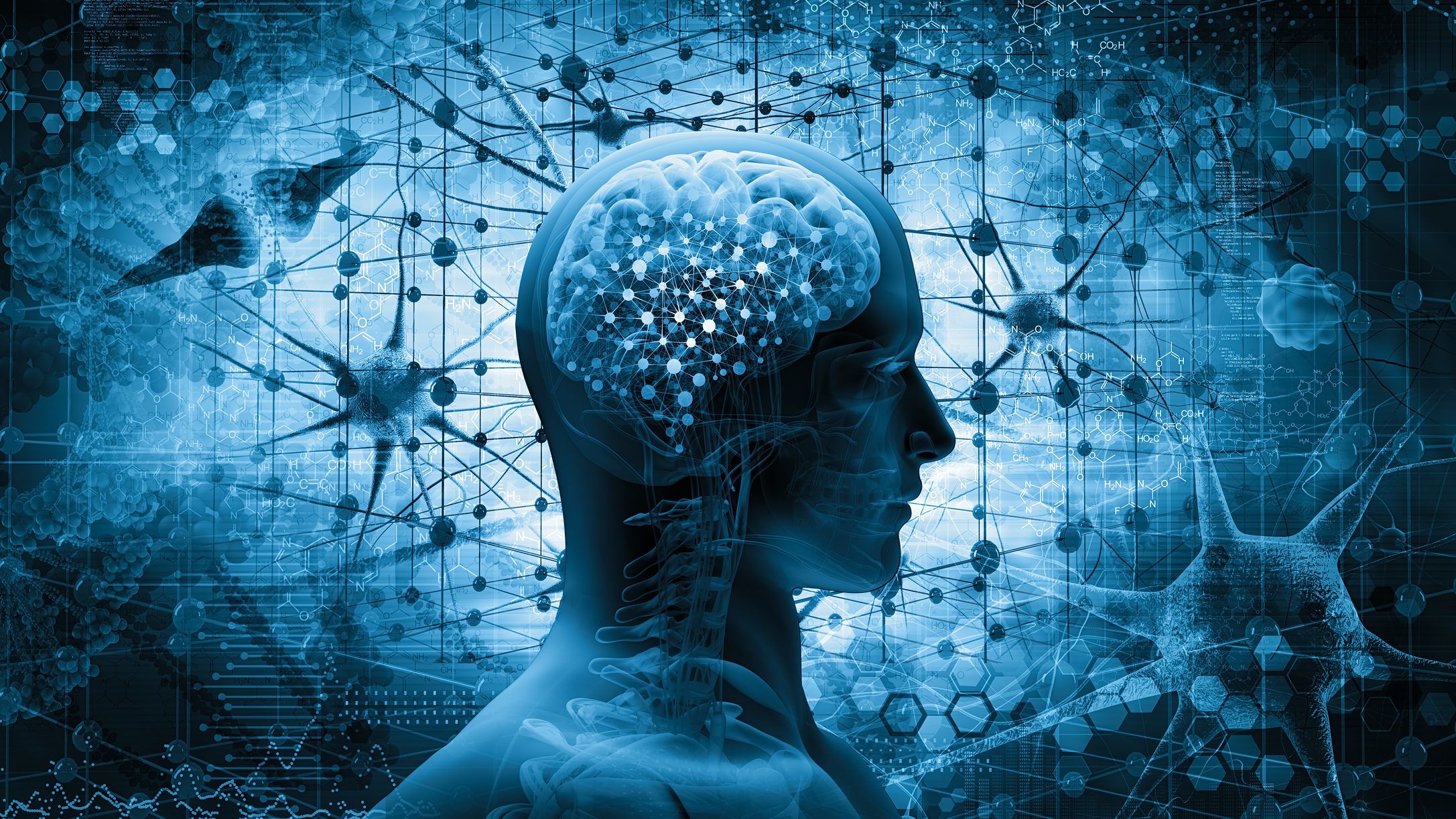 Brain.jpg