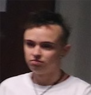 braziltard.png