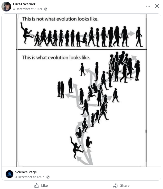 brefhefr - Copy.PNG