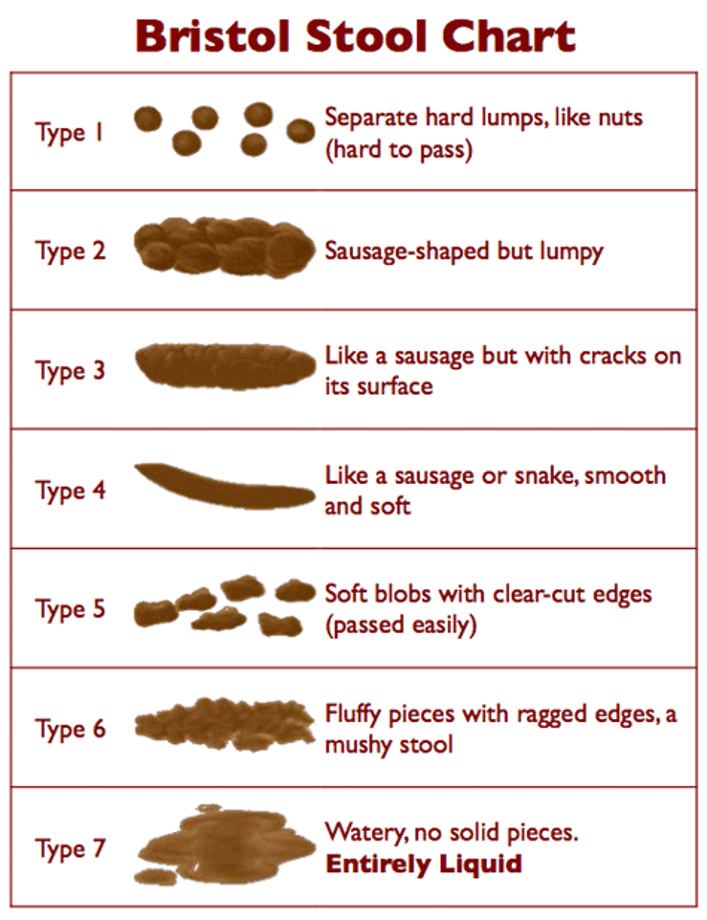 bristol_stool_chart.png
