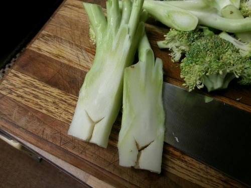 Broccoli.jpg