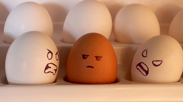 brown egg.jpg