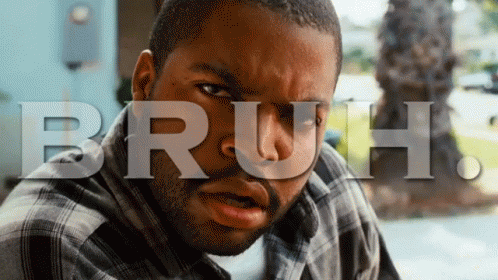 bruh ice cube.gif