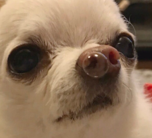 bubb;e.PNG