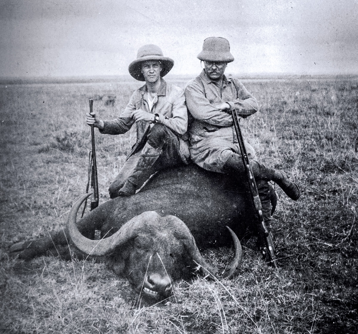 buffalo.jpg