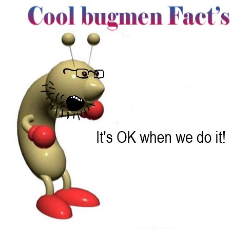 bugmenfacts - Copy (2).png