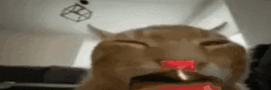 buhOverShakeyFlipExplode-4x.gif