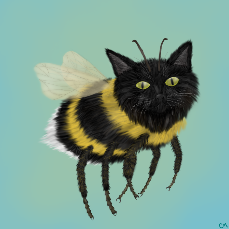 Bumblekitty redraw.png
