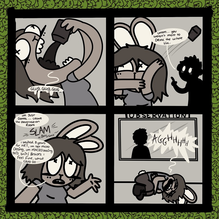 bunny2.jpg
