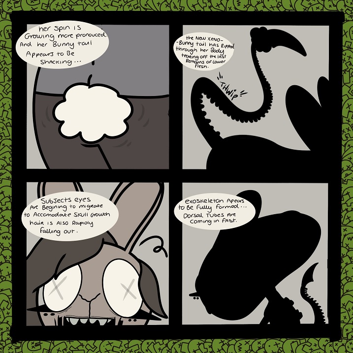 bunny4.jpg