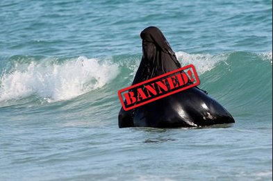 burkini.png