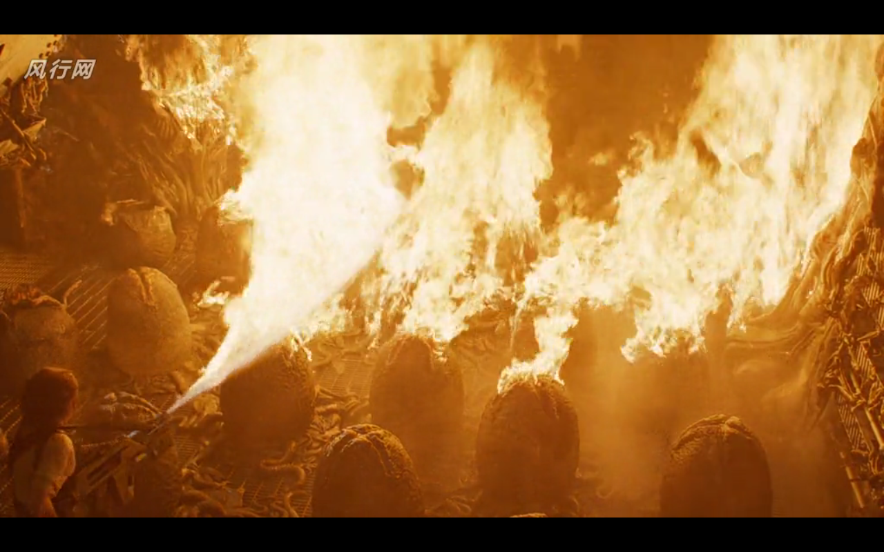 burning-eggs.png