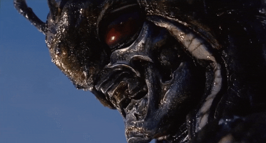 c2_540.gif