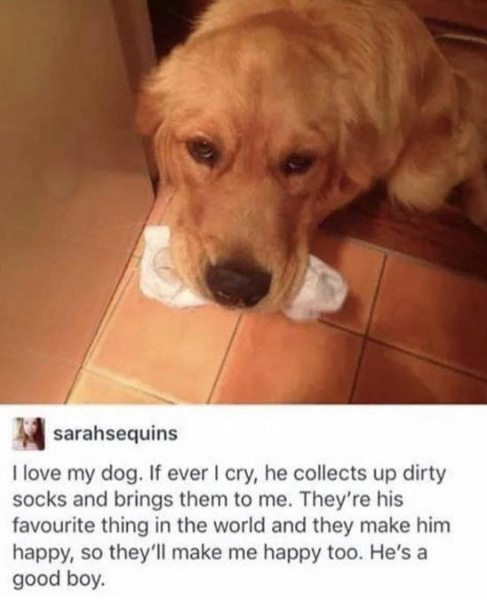 C480.png