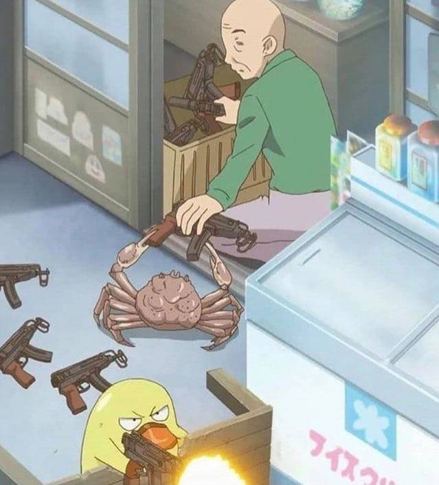 c8HunVX.jpg