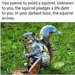 CA69FB02-B668-4EA9-BBAA-3F1EE18E198F.jpeg
