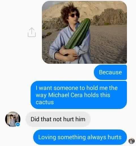 cactus.jpg