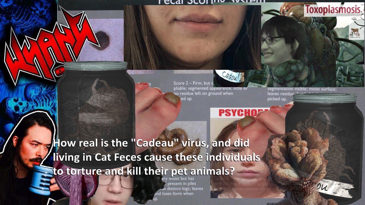 cadeau.jpg