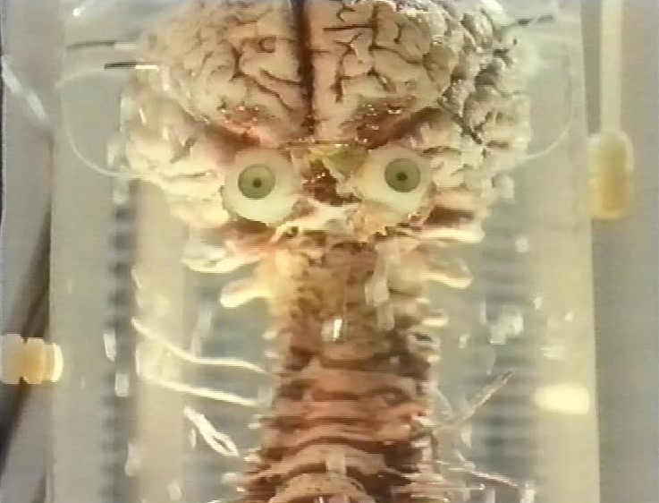 cains-brain.jpg