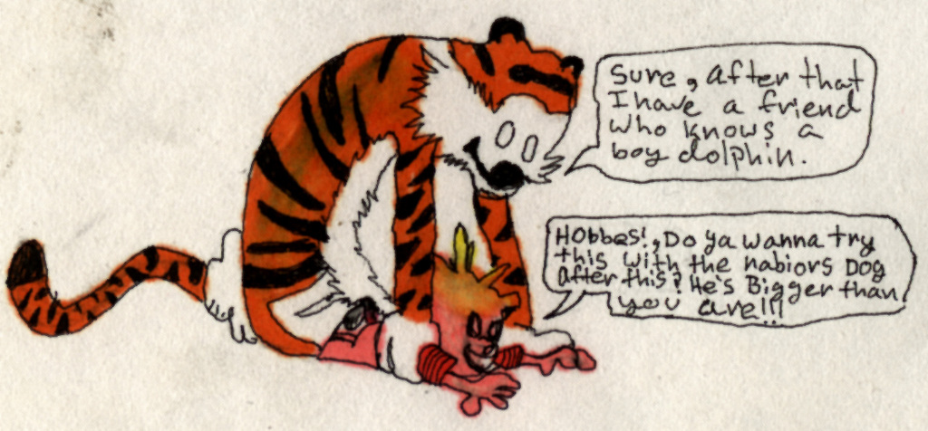 Calvin_hobbies3.jpg