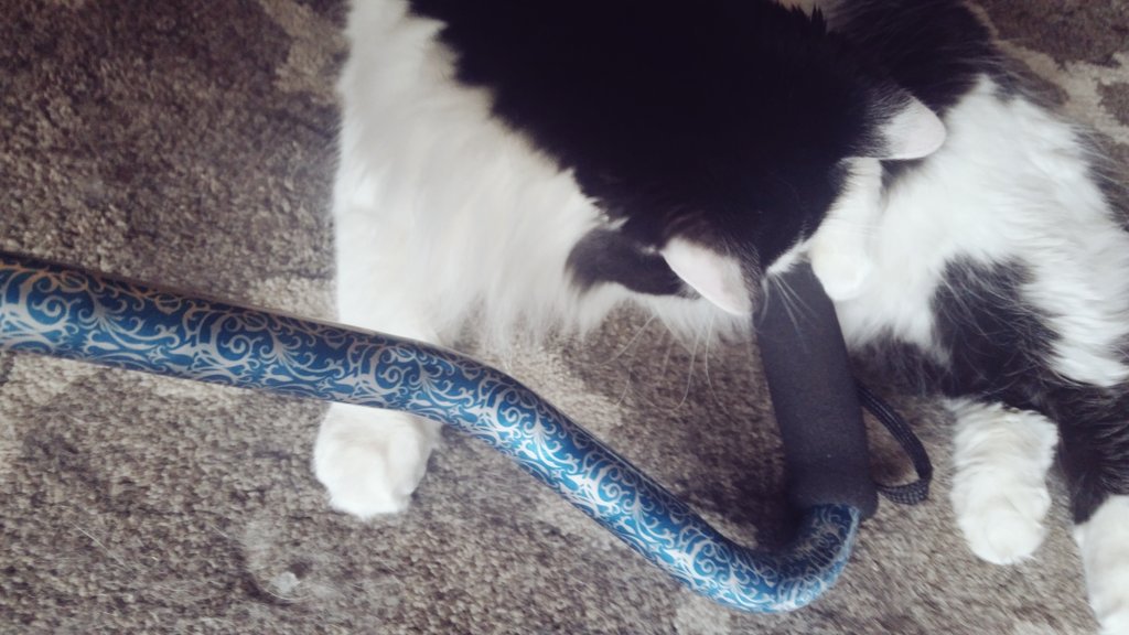 cane1.jpg