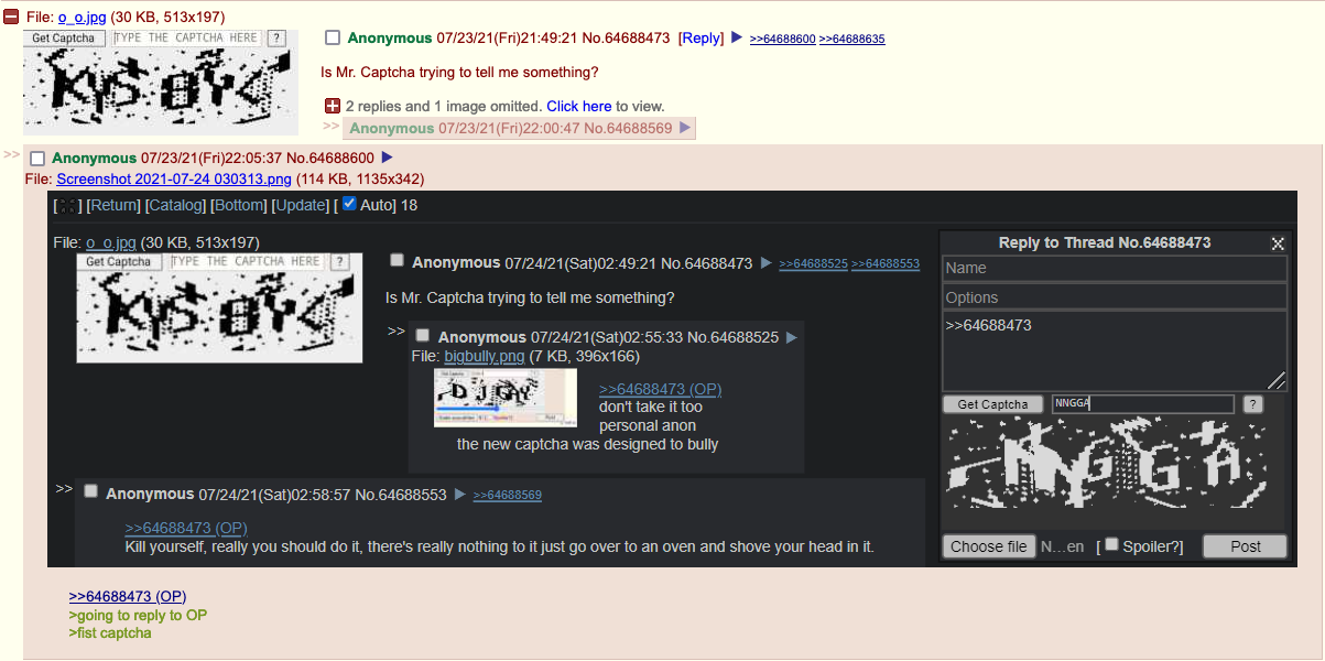 captcha message.png