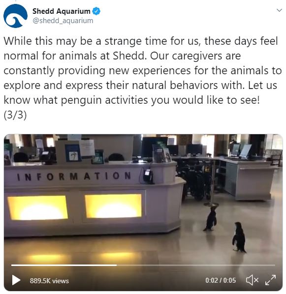 Capture.JPG