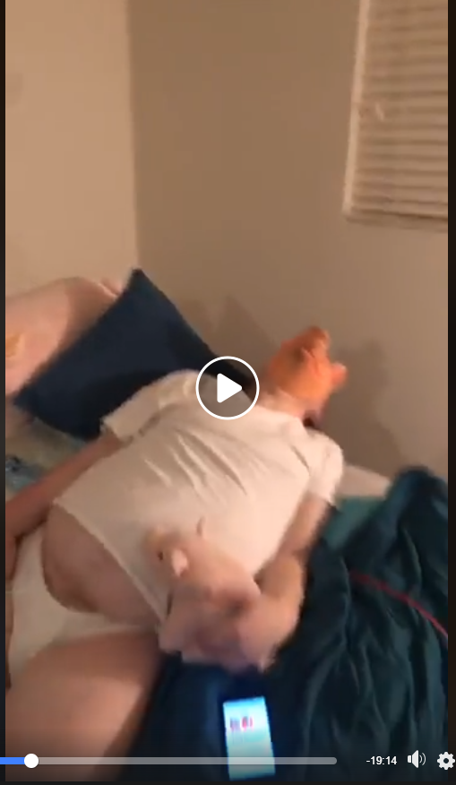 Capture.PNG