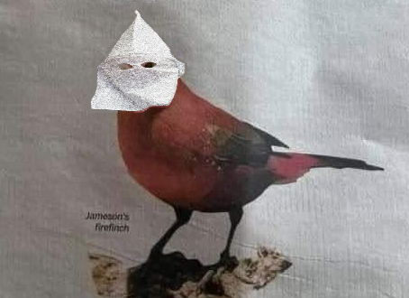 Capture.PNG