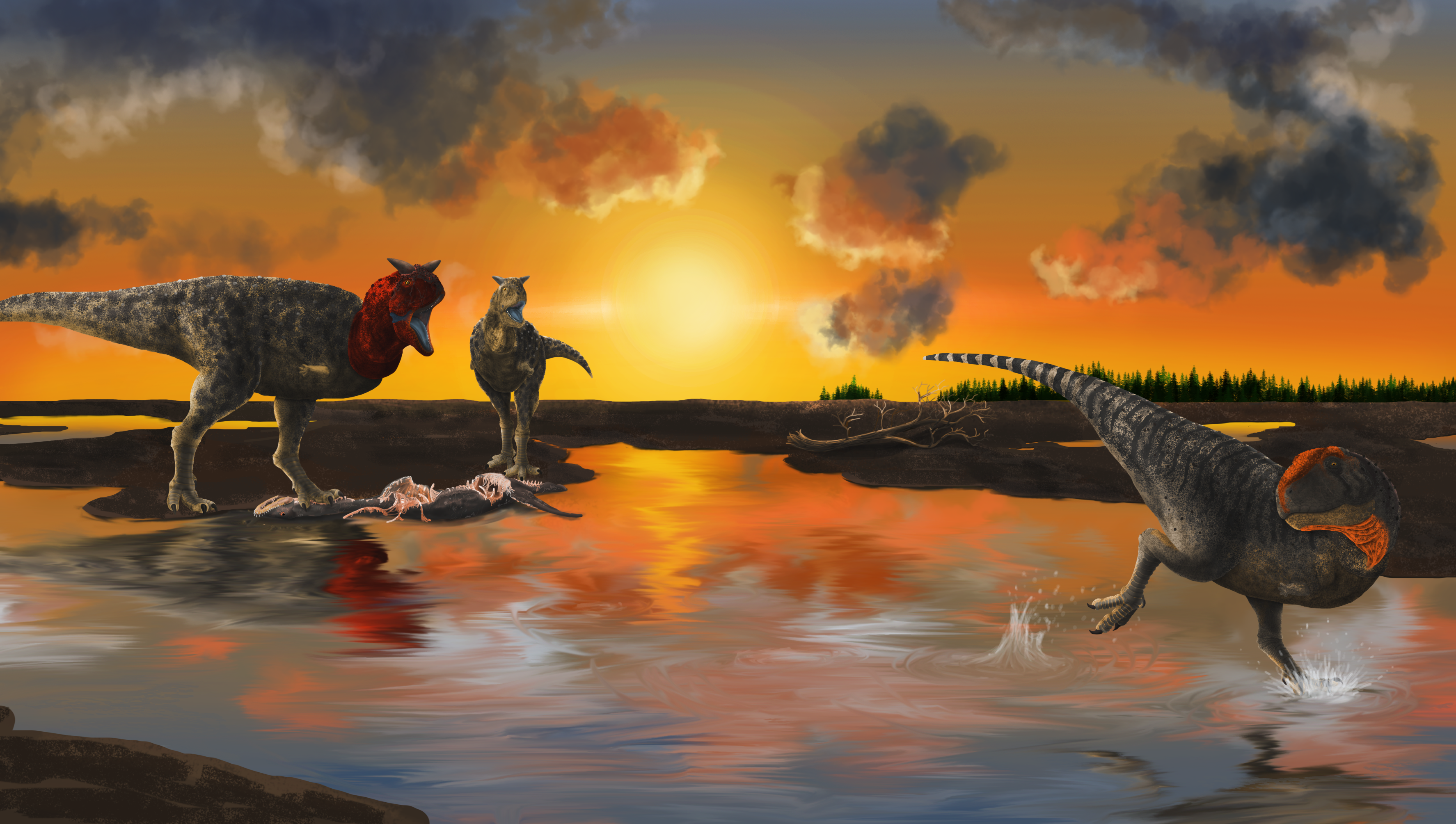carno.png