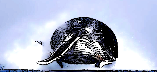 cartoon.png