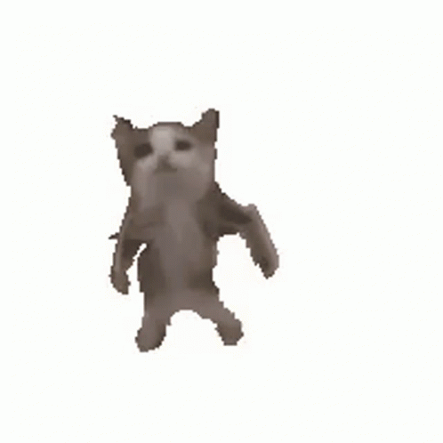cat-dancing-3855200721.gif