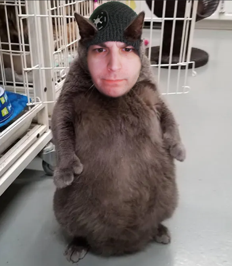 cat gibi.png