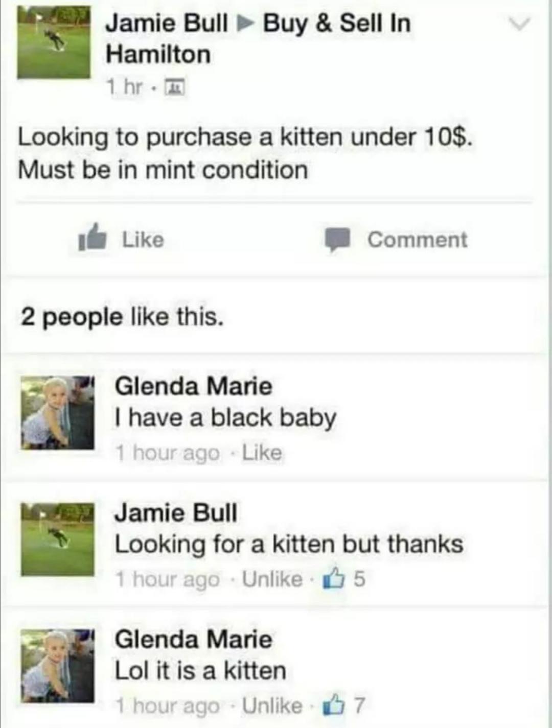 cat.jpg
