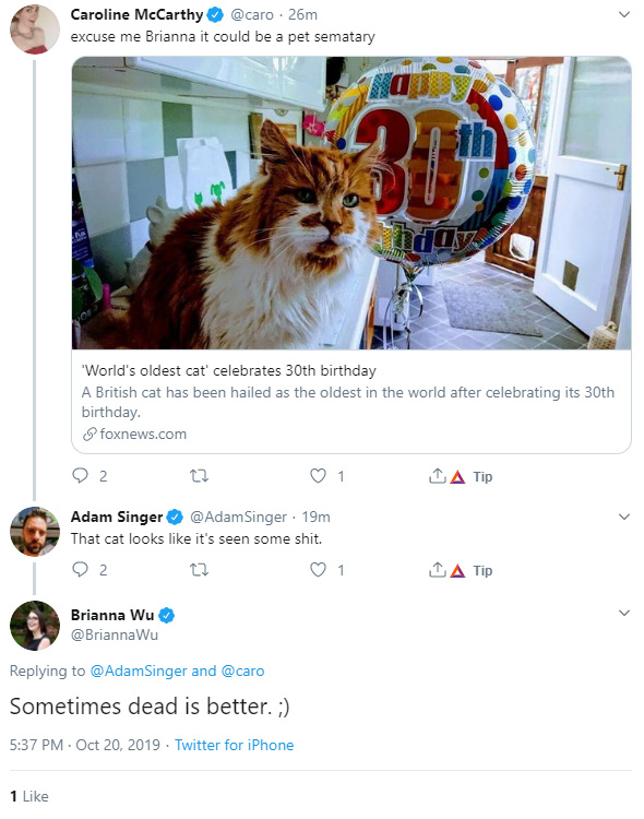 cat.jpg