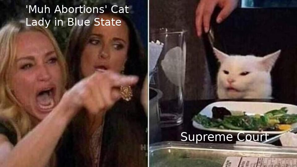 cat.png