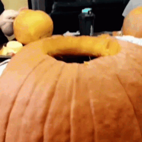 cat-pumpkin.gif