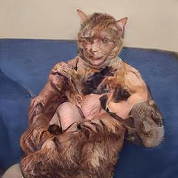 cat1205.jpg
